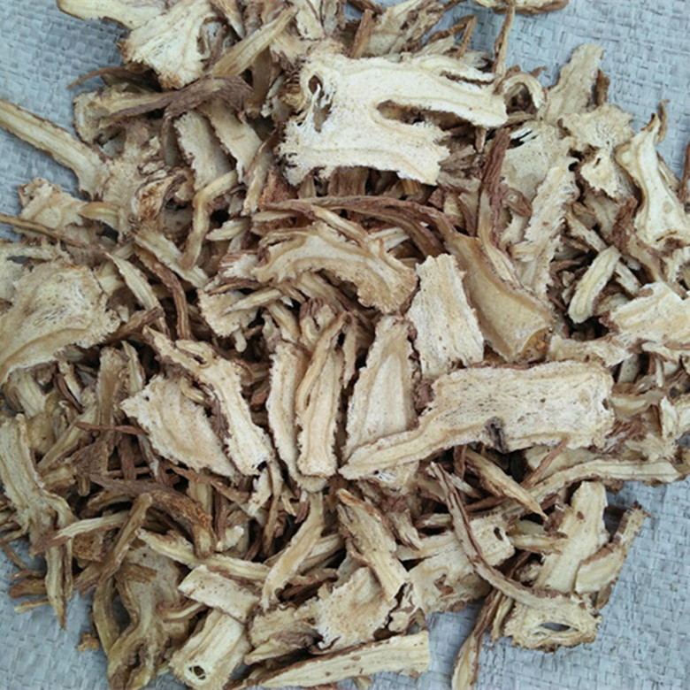 Angelica sinensis herb 