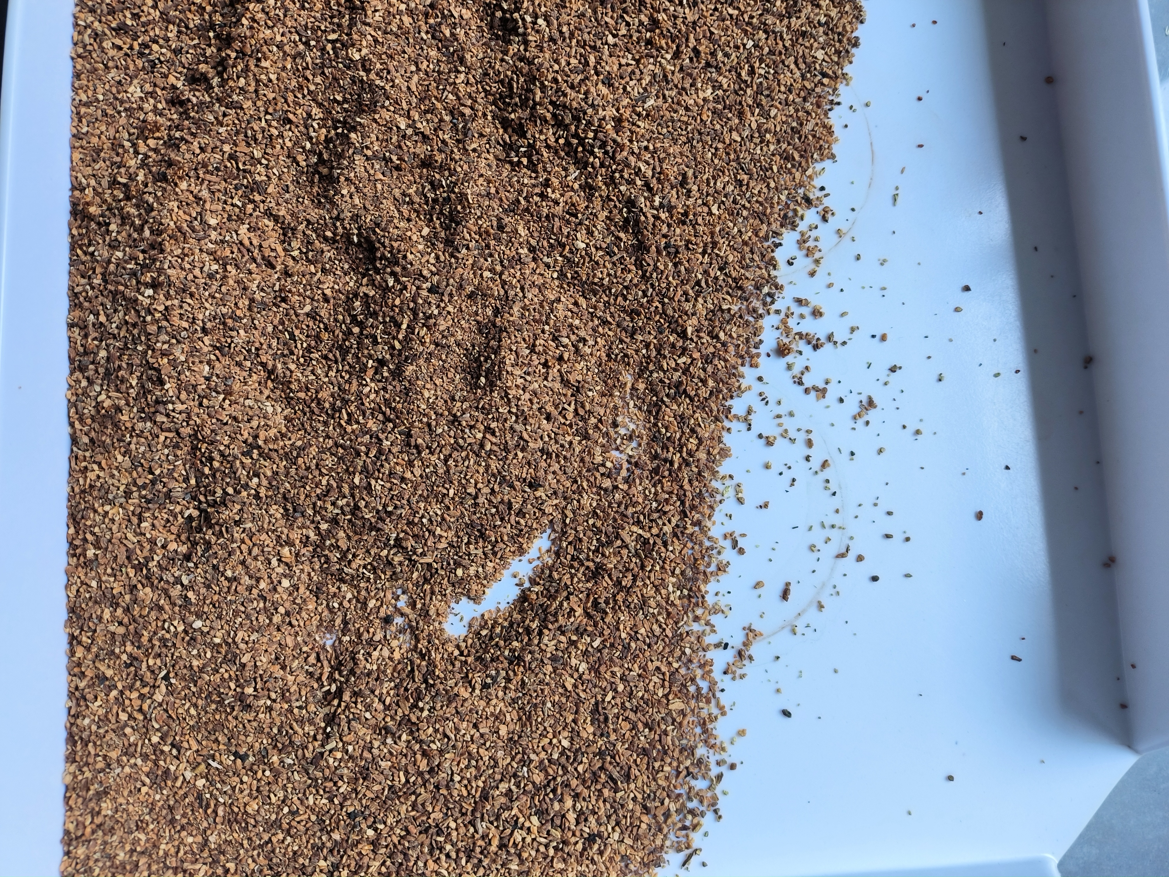 Roasted dandelion root for tea bag 
