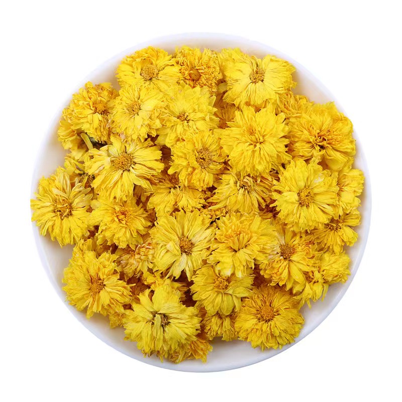 Yellow chrysanthemum