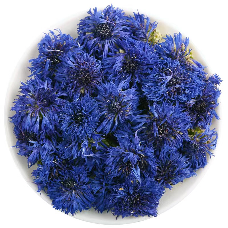 cornflower