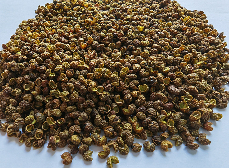 Organic Green SiChuan / Szechuan pepper  
