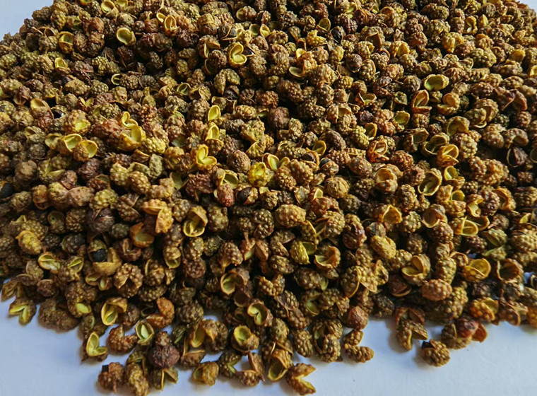 Green SiChuan / Szechuan pepper   